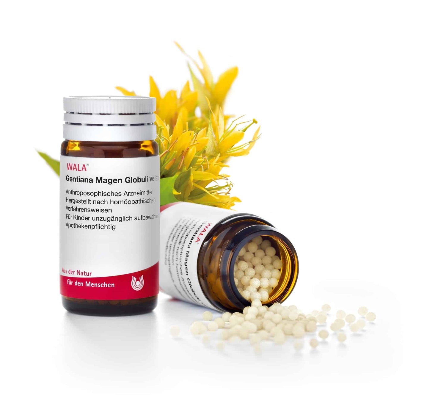 Wala 龍膽小糖球(胃腸順勢)天然成分 Gentiana Magen Globuli 20克