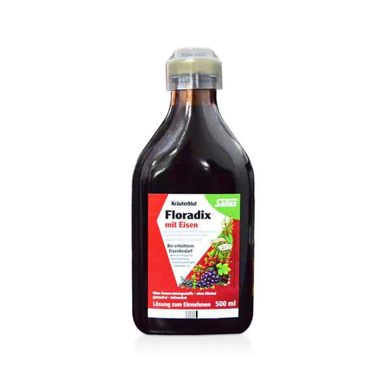 Salus 鐵元 Floradix Eisen 500ml
