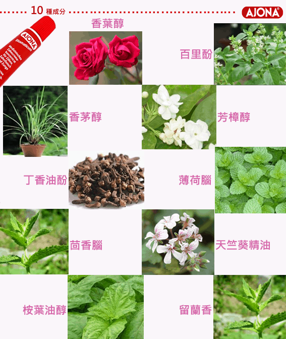 德國 AJONA 抗發炎天然抗菌牙膏 25ml