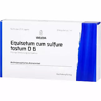 Weleda 腎臟 安瓶 Equisetum Cum Sulf. Tost. D6 Ampullen (8x1 ml)