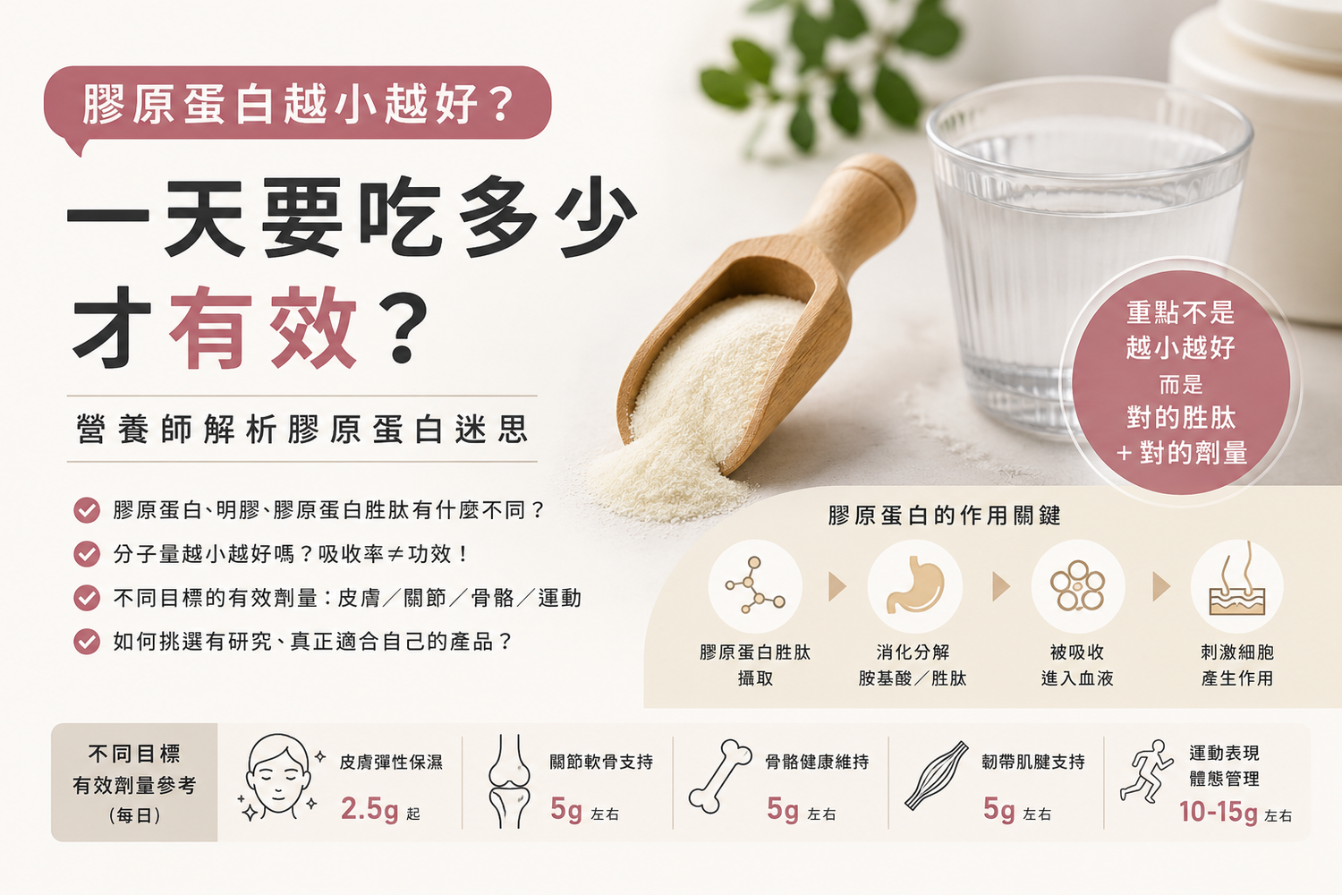 膠原蛋白越小越好？一天要吃多少才有效？