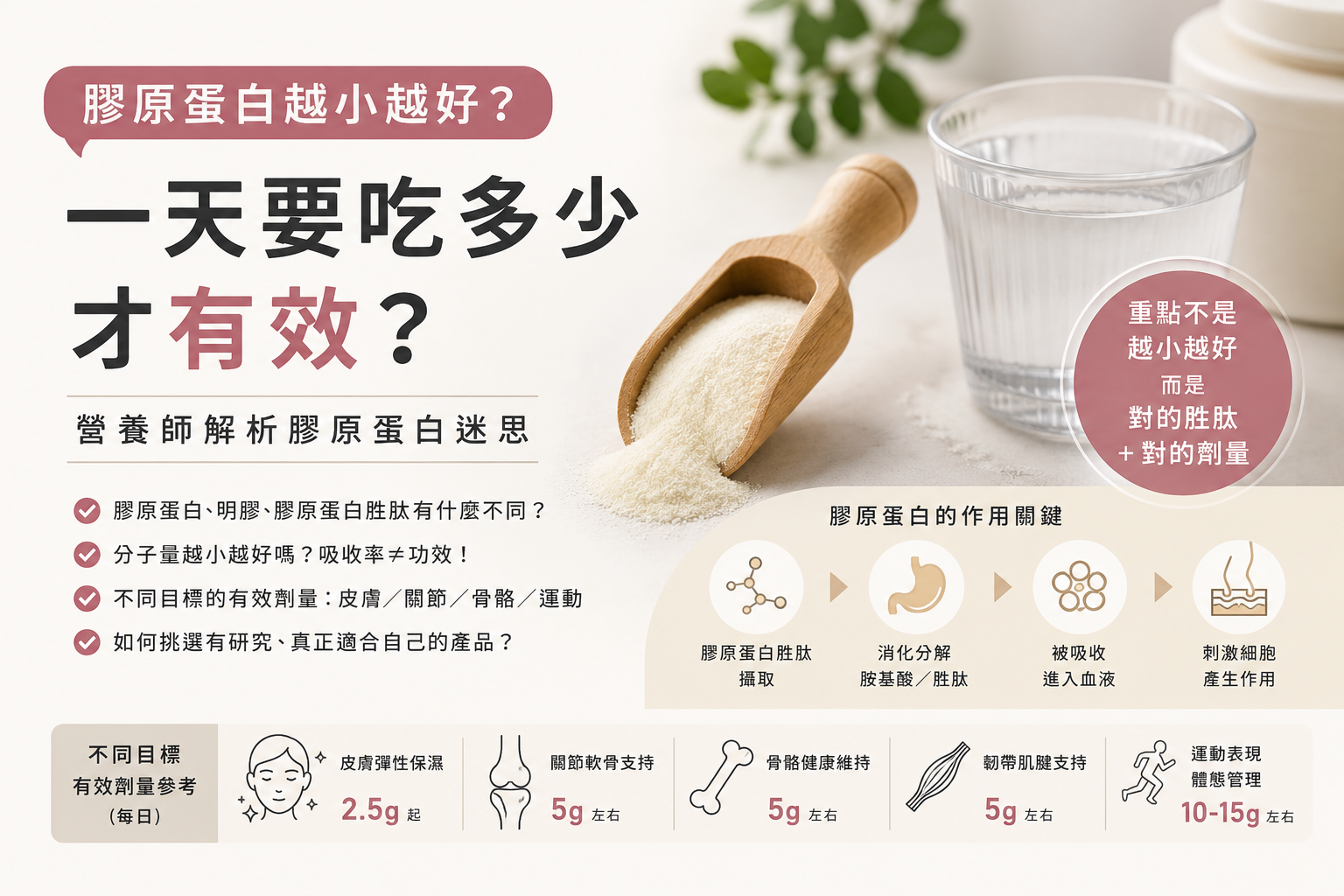 膠原蛋白越小越好？一天要吃多少才有效？