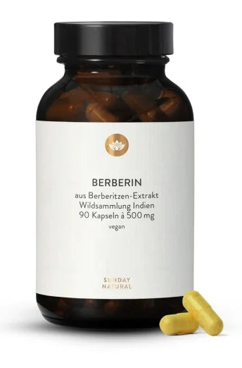 Sunday natural Berberin 500mg 高純度印度野生小蘗根萃取膠囊 90 粒