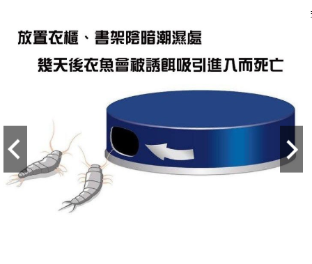 Aeroxon Silverfish Earworm Attractant Box Silverfish Cabinet Insect Silberfischchen One Box