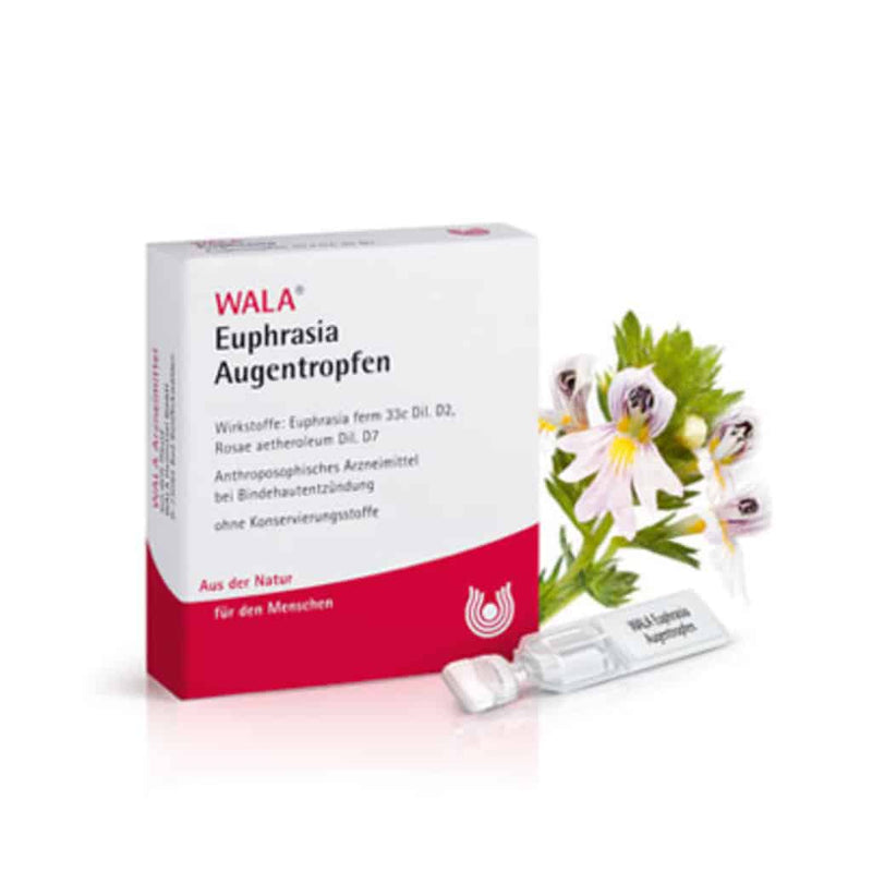 Wala 小米草滴眼液(天然配方不含防腐劑) Euphrasia Augentropfen 便携版 大盒30個/0.5ml 小盒10個/0.5ml - MunichStars