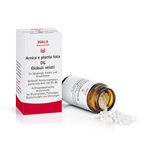 WALA Arnica and plants totA D6 Globe vector