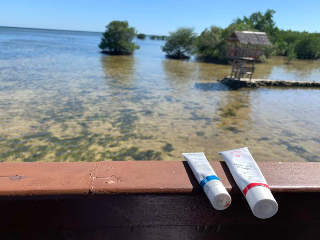 [Travel Pack 05] WALA Natural Wound Gel WUND-UND BRANDGEL 30G Wounds, Burns, Sunburns and Insect Bites + Dr.Hauschka German Family Ice Flower First Aid Cream 20ml