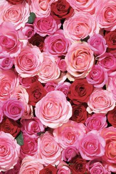 Khadi 玫瑰再生身體油 100 毫升AYURVEDISCHES ELIXIER SKIN & SOUL KÖRPERÖL ROSE LOVE
