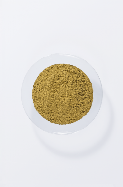 Khadi 草本堅果棕染髮劑 100克 PFLANZENHAARFARBE NUSSBRAUN