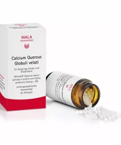 【預購】WALA Calcium Quercus Globuli velati