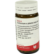 【預購】WALA Cichorium e planta tota 5%, Globuli velati